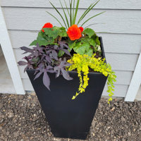 Veradek V-Resin Series Pot Planter & Reviews - Wayfair Canada